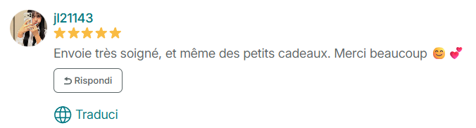 Recensione Vinted di 