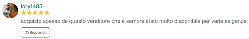 Recensione Vinted di 