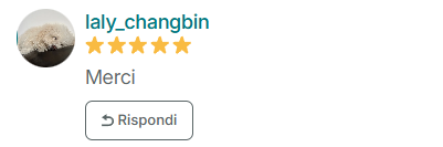 Recensione Vinted di 